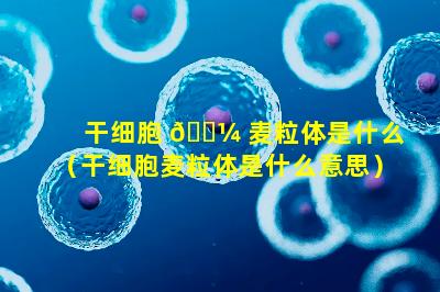 干细胞 🐼 麦粒体是什么（干细胞麦粒体是什么意思）